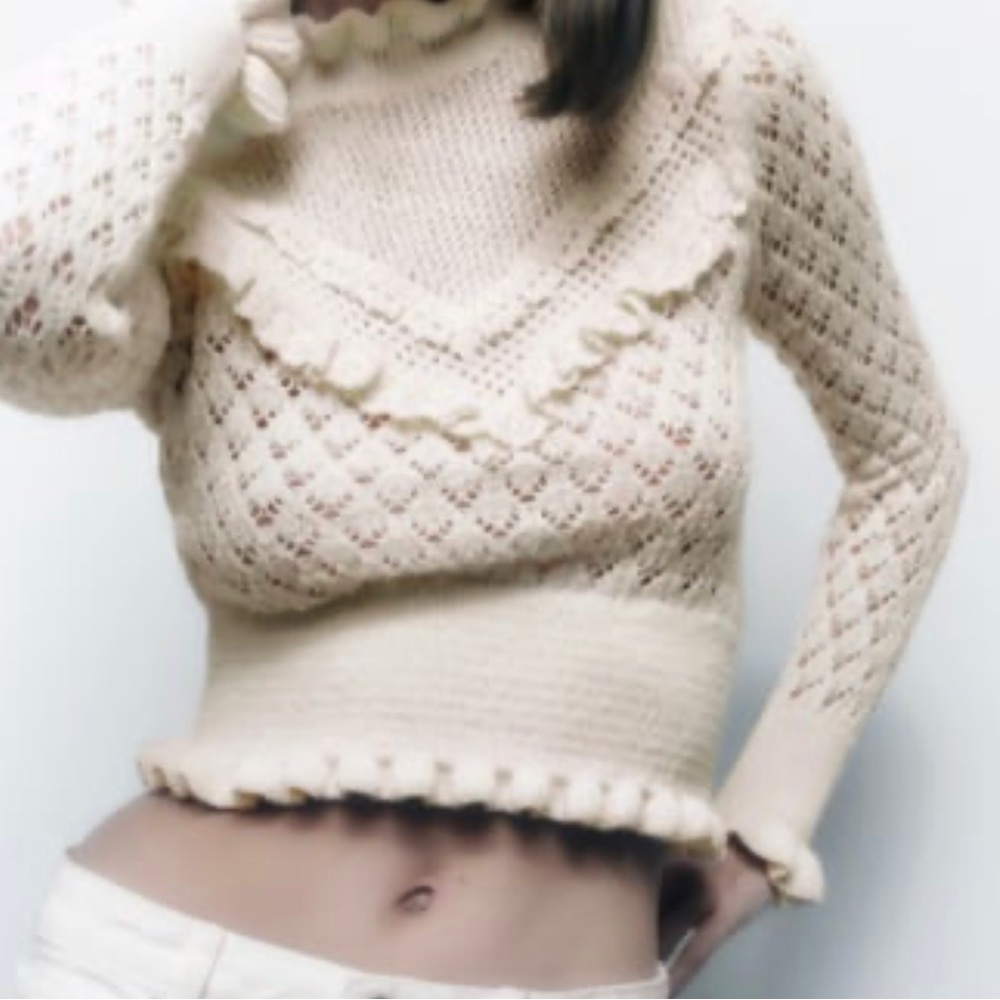 COPY - Zara Brand new pointelle sweater - Picture 2 of 4